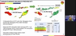 Capaian Eliminasi Malaria di Provinsi Nusa Tenggara Timur pada tahun 2020 disampaikan oleh Kepala Dinas Kesehatan, Kependudukan dan Pencatatan Sipil Provinsi Nusa Tenggara Timur Messerassi B.V Ataupah. Jumat (23/4/2021) dalam tangkapan layar.