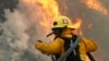 California khống chế 60% các đám cháy rừng 