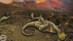 New evidence suggests that volcanic eruptions and an asteroid impact 150,000 years later caused two dramatic spikes in global temperature, which together, doomed the dinosaurs.