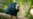 Eight monkeys found dead at Hong Kong zoo, government says