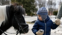 Election ရွေးကောက်ပွဲဆိုင်ရာ အီဒီယံအသုံးအနှုန်းများ