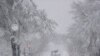 Chính phủ liên bang Hoa Kỳ đóng cửa sau trận bão tuyết lịch sử