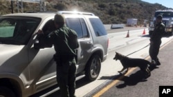 FILE - Border patrol agents use a drug-sniffing dog to check vehicles at California's Pine Valley checkpoint, on the main route from Arizona to San Diego, Dec. 14, 2017.