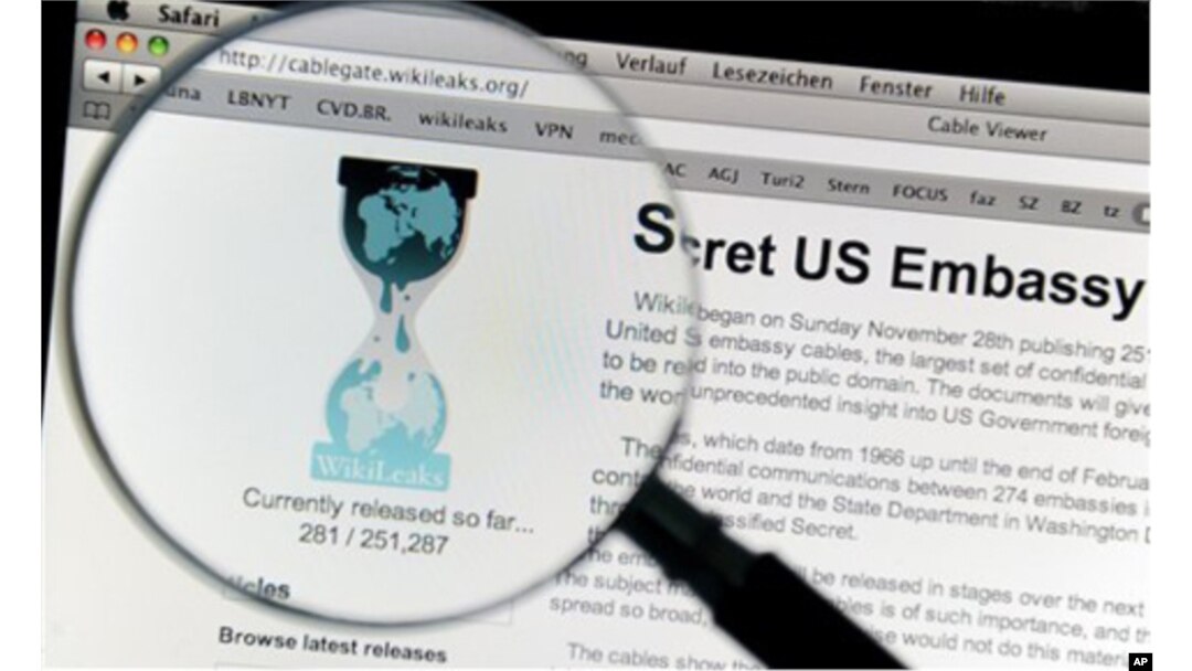 WikiLeaks Concern for South African Freedom of Information Activists