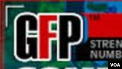 GFP