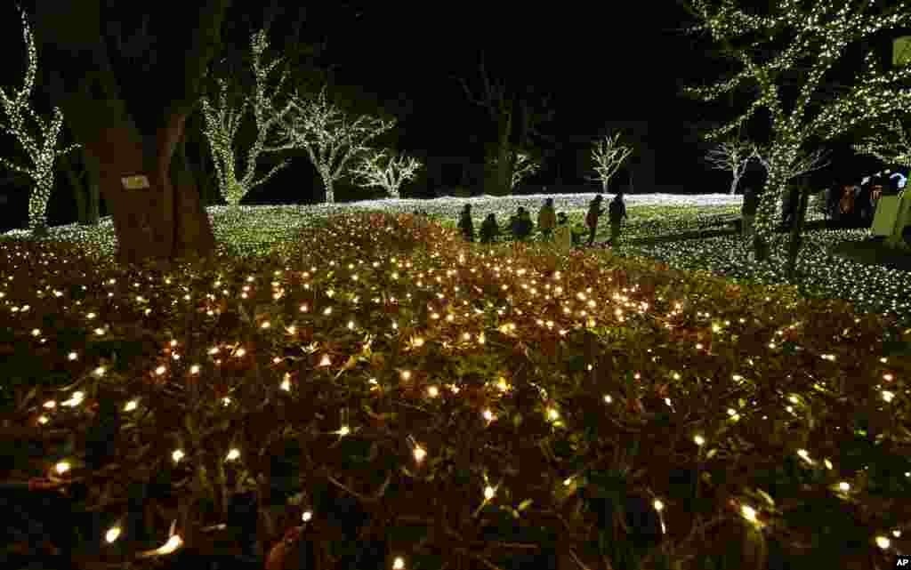 Visitors enjoy illuminations at Enoshima in Fujisawa, near Tokyo.