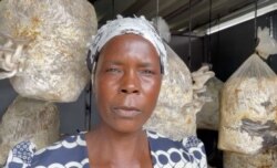 Caroline Chanyaruka, a widow who makes ends meet by growing mushrooms from biowaste, is seen in Epworth, some 40 km southeast of Harare, March 5, 2021. (Columbus Mavhunga/VOA)