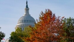 EEUU el Congreso inicia investigación sobre el fraude con la ayuda federal por el COVID-19 