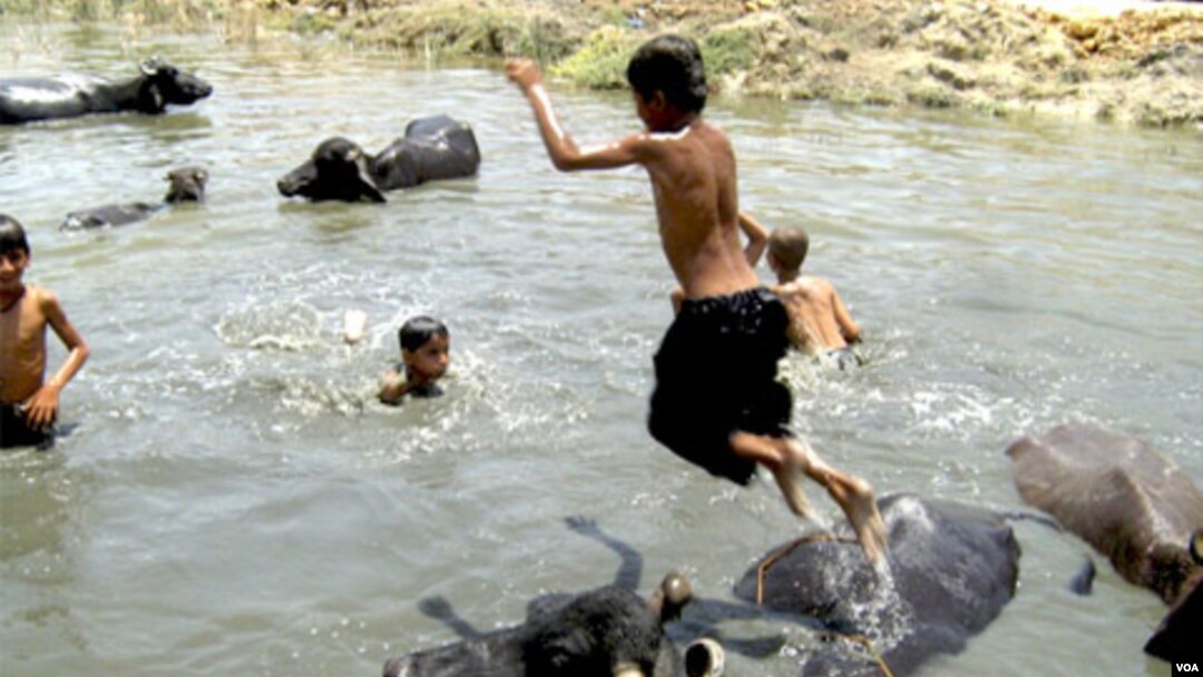 Anak-anak di India berendam di sungai untuk meredakan serangan udara panas.