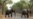 Conservationists Call For Transparency in Zimbabwe Wildlife