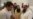 Pakistan’s Opposition Alleges Rigging in July Polls