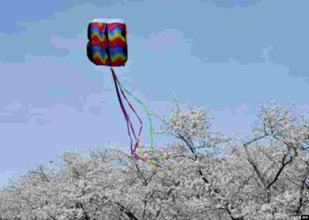 Festivali i Balonave në Uashington