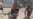 16x9 Image