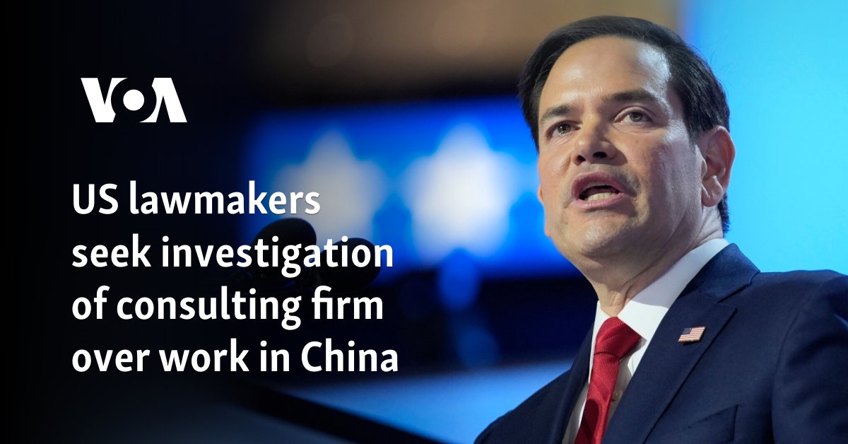 US lawmakers seek investigation of consulting firm over work in China