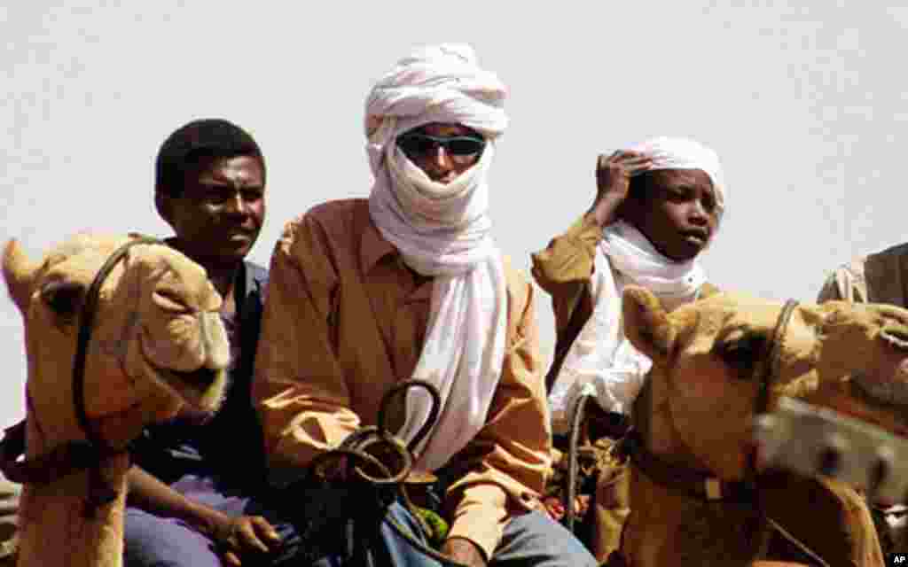 The Darfur war involved conflict between nomads and villagers, fueled by government backing of Janjawid militias.