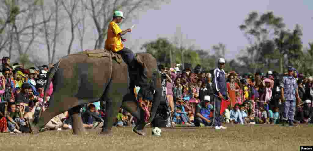 نیپال میں ہاتھی کھیل کے میدان میں