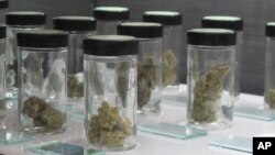 Vials filled with samples of marijuana line up March 24, 2017, at the Blum medical marijuana dispensary, in Reno, Nev. Sales of recreational marijuana began early July 1, 2017, across Nevada.