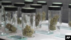 Vials filled with samples of marijuana line up March 24, 2017, at the Blum medical marijuana dispensary, in Reno, Nevada.