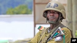 FILE - Cameroonian soldier stands guard.