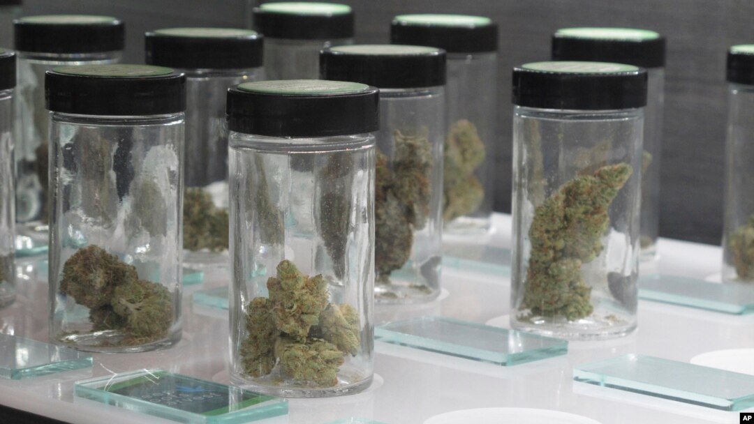 Vials filled with samples of marijuana line up March 24, 2017, at the Blum medical marijuana dispensary, in Reno, Nevada.