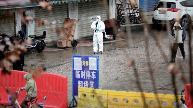 中国湖北武汉，一名身穿防护服的工人在封闭的海鲜市场里。（2020年1月10日）
