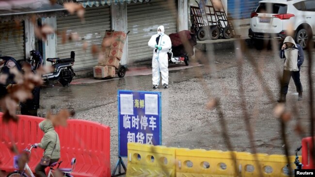 中国湖北武汉，一名身穿防护服的工人在封闭的海鲜市场里。（2020年1月10日）