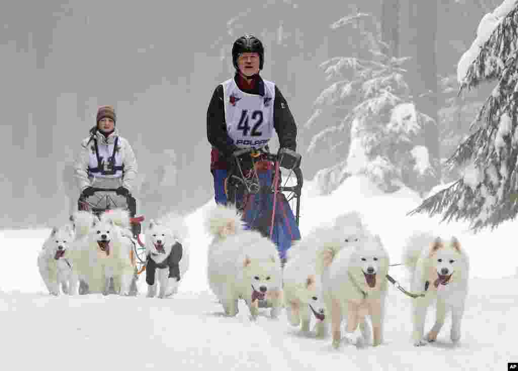Para peserta mengikuti lomba balap kereta luncur salju yang ditarik anjing di Masserberg, Jerman.