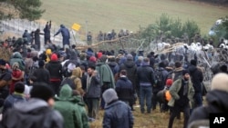 Para migran di Grodno, Belarus berusaha memasuki perbatasan Polandia (8/11). 