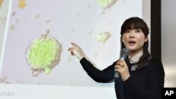 FILE - Riken Center for Development Biology researcher Haruko Obokata.