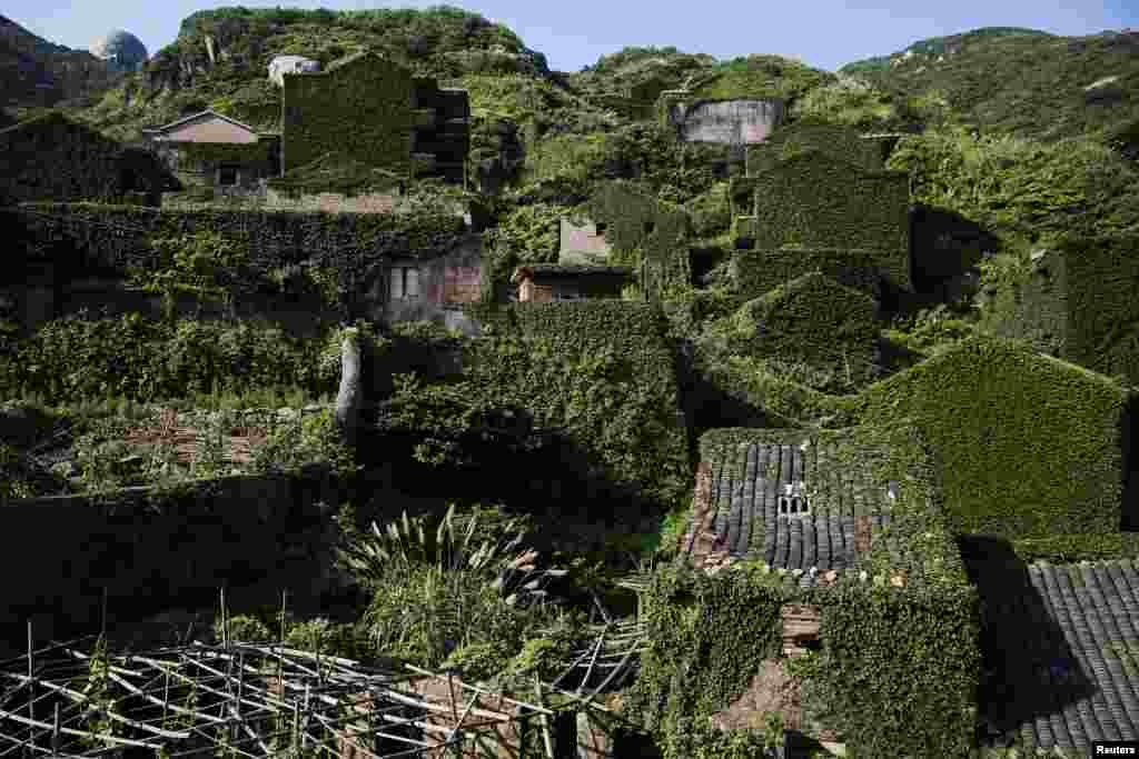 Plants grow on houses in the abandoned fishing village of Houtouwan on the island of Shengshan. Just a handful of people still live in a village on the island east of Shanghai that was once home to more than 2,000 fishermen. Every day hundreds of tourists visit Houtouwan, making their way on narrow footpaths past tumbledown houses overtaken by vegetation.