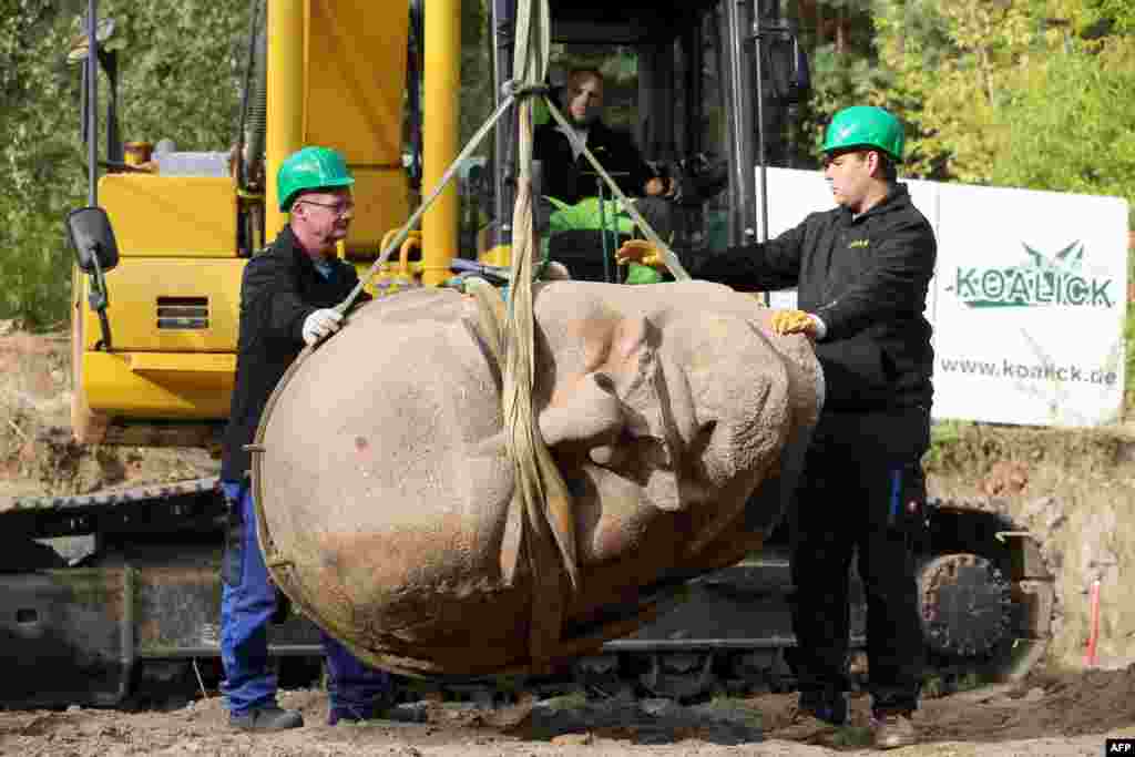 Workers remove the head of a statue of the late Soviet leader Vladimir Ilyich Lenin which was buried in a forest in the east of Berlin. The 3.5-ton granite piece, long buried in a forest on the edge of the city, will become an eye-catching highlight of a new museum exhibit of key figures that played a role in Germany's turbulent history.