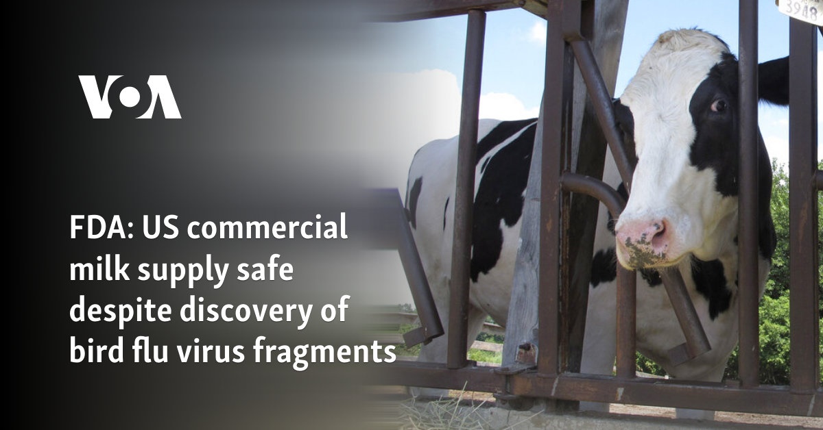 US commercial milk supply safe despite discovery of bird flu virus fragments