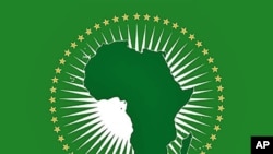 A handout file photo released by the African Union (file)