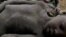 A four-year-old Sudanese boy lies on the ground after collapsing from hunger at a feeding centre in Rumbek, May 25, 2005. Thirteen people have died of hunger after crops failed in Eastern Equatoria state. 