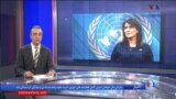 اخبار شبانگاهی