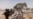 Boko Haram Attack Leaves at Least a Dozen Cameroonians Dead