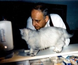 Leslie Gelb watches sports on a TV with his cat Wiley. He later lost his sight in both eyes and had to settle on listening to TV sports broadcasts. He continued his passion for reading by listening to audio books. (Courtesy - Gelb family)