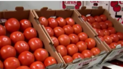 Utawala wa Trump waendelea kueleza sababu za kuweka ushuru 