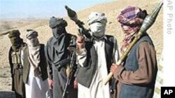 ’’طالبان بات چیت میں شمولیت کا فیصلہ جلد کریں گے‘‘