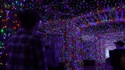 El zoológico de Los Ángeles se ilumina por Navidad