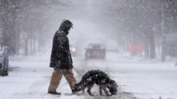 Seorang warga dan anjing peliharaannya berjalan melewati area di St. Louis, Missouri, di tengah salju lebat yang turun menyelimuti area tersebut pada 5 Januari 2025. (Foto: AP/Jeff Roberson)