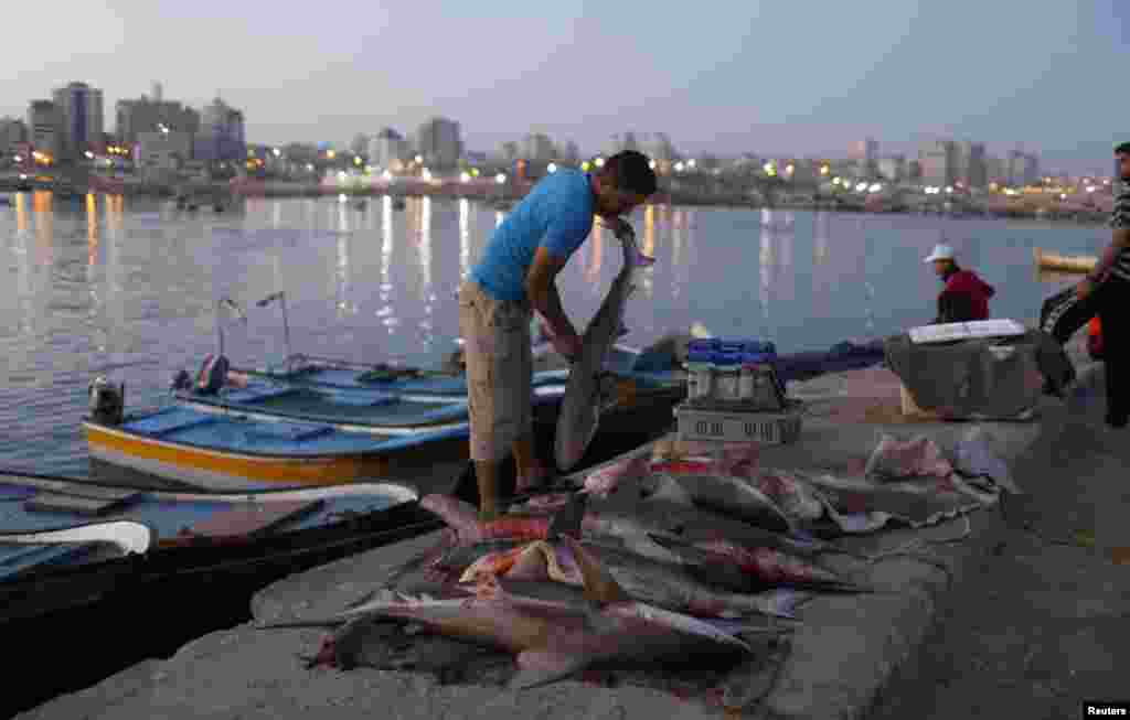 غزہ شہر میں مچھلی فروش سمندر سے پکڑی جانے والی مچھلیاں فروخت کررہے ہیں.