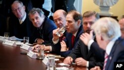 President Donald Trump speaks during a meeting with lawmakers about trade policy in the Cabinet Room of the White House, Feb. 13, 2018, in Washington. 