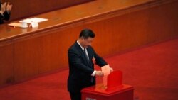 时事大家谈：“不是我的国家主席”，海外的反习声浪