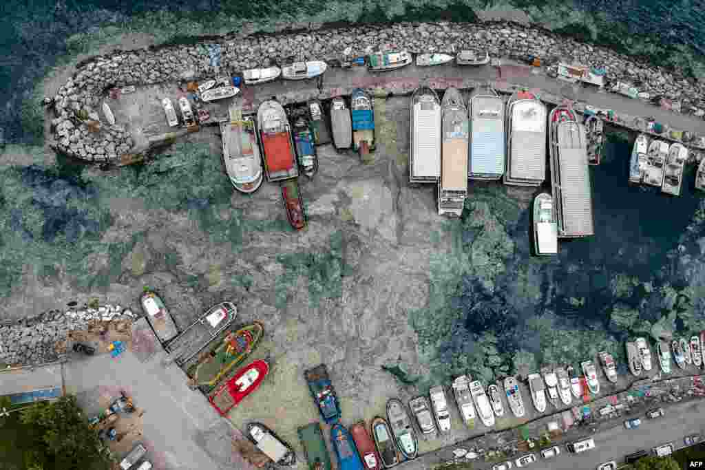 This aerial photograph taken on May 30, 2021 shows mucilage, a thick, viscous fluid produced by phytoplankton, in Turkey&#39;s Marmara Sea at a harbor on the shoreline of Istanbul.