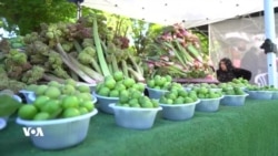 Festîvala Giyayên Buharê li Hewraman