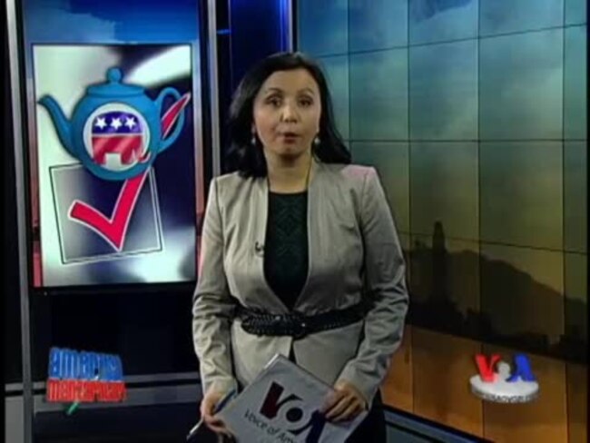 "Choychilar" harakati va Amerikadagi saylovlar - Tea Party/Elections