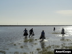 AmeriCorps volunteers work on a wetland project during Americorps Week, March 16, 2013. (AmeriCorps photo)