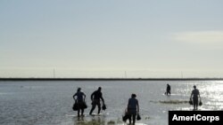 AmeriCorps volunteers work on a wetland project during Americorps Week, March 16, 2013. (AmeriCorps photo)