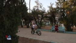 Buhabûna Sotemenîyê Daristanên Rojava Dixe Jêr Metirsîyan
